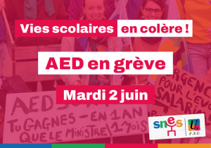 Grève des AED - Mardi 2 juin - Salaires et temps de travail